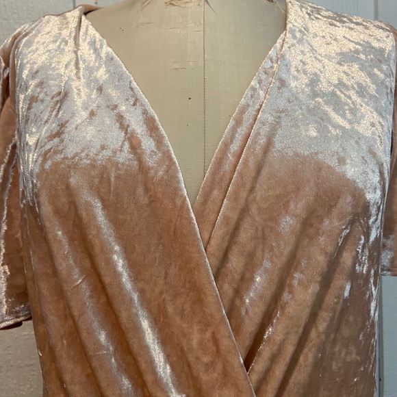 Blush Pink Velvet Leotard Bodysuit - Picture 4 of 5